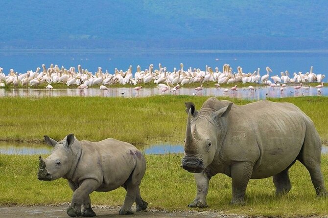 7 Days Safari to Maasai Mara, Nakuru, Naivasha and Amboseli - Day 5: The road to Amboseli and Kilimanjaro views