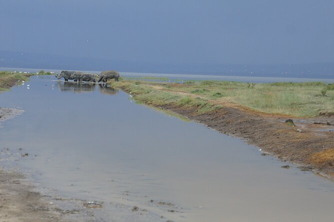 7 days Sopa lodges full private package - The Lake Naivasha and Lake Nakuru schedule needs clarification