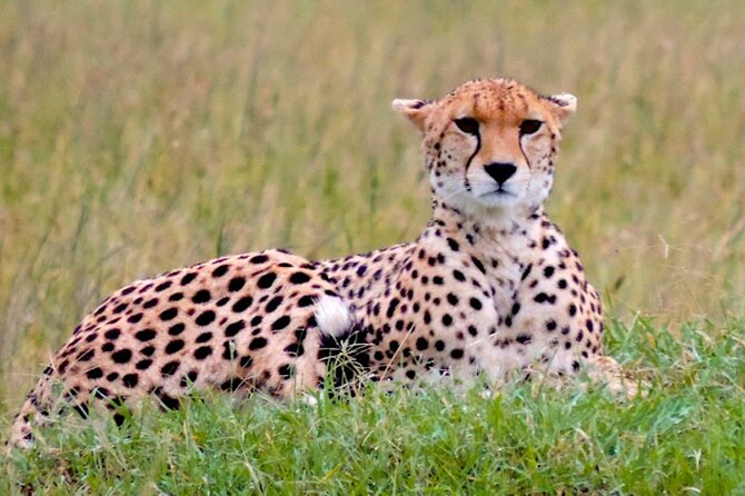 8 Day Bush and Beach Private Holiday Safari - Key points to know before booking