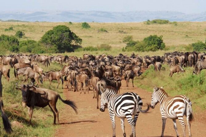 8 Day Bush and Beach Private Holiday Safari - Day 1: Hell’s Gate and the open waters of Lake Naivasha