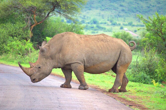 8 Days / 7 Nights 2021 / 2022 Wildebeest Migration Safari - Maasai Mara Reserve - Entering the Maasai Mara on Day 5