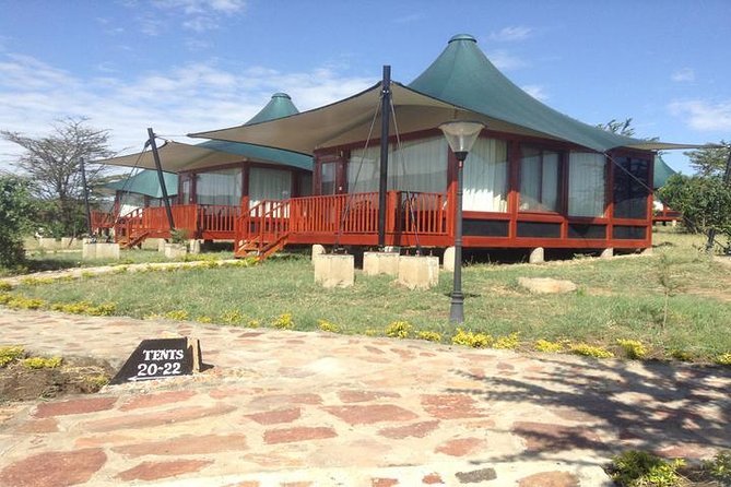 8 days 7 nights best Kenya and Tanzania private lodging safari - Day 4: Full-day Serengeti wildlife in Seronera