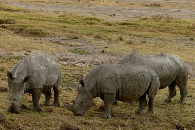 8 Days Amboseli lake Nakuru Masai Mara lake Naivasha safari - Day 7: Walking beside the Green Crater Lake