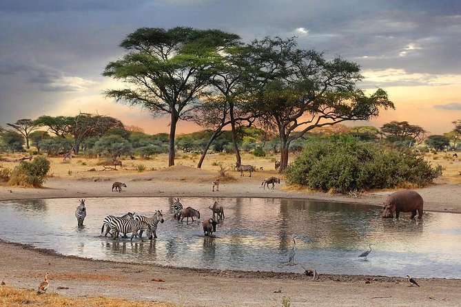 8 Days Best of Kenya and Tanzania Safari from Nairobi - Day 2: Maasai Mara and the Mara River