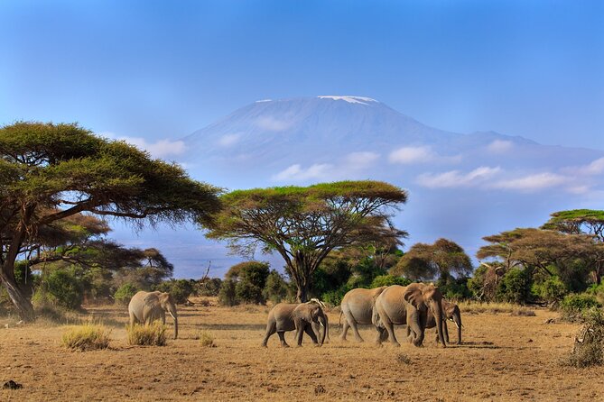 8 Days Combined Kenya And Tanzania Luxury Safari - Day one: rhino country at Lake Nakuru