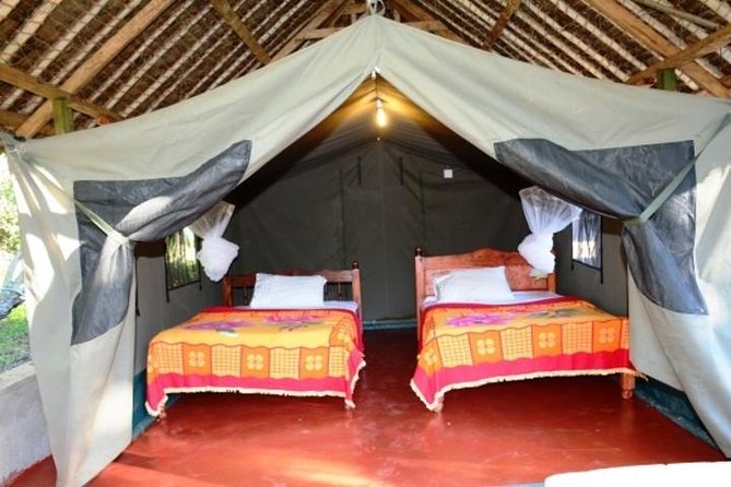 8 Days Kenya and Tanzania Private Lodging Safari from Nairobi - Day 7: Lake Manyara and an overnight in Arusha