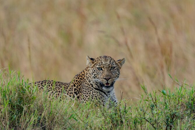 8 Days Kenya Safari Expedition - Day 2: The Great Rift Valley road to Maasai Mara