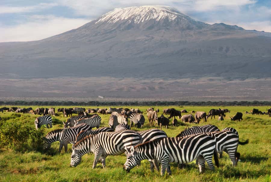 8 Days Nakuru, Masai Mara, Serengeti, Ngorongoro & L Manyara - Day 7: Ngorongoro to Lake Manyara
