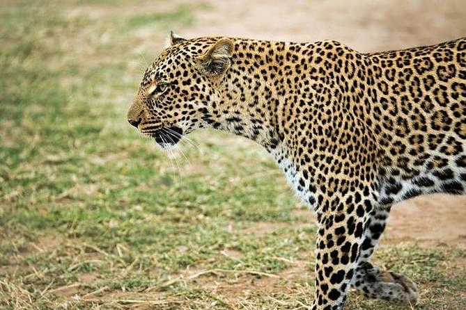 9 days, 8 nights budget Kenya and Tanzania safari - Day 1: Rift Valley Views Before the Mara