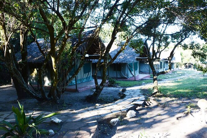 9 days, 8 nights budget Kenya and Tanzania safari - Days 6 and 7: Two Different Looks at the Serengeti