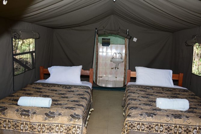 9 days, 8 nights budget Kenya and Tanzania safari - Day 8: Ngorongoro Crater and the Drive to Arusha