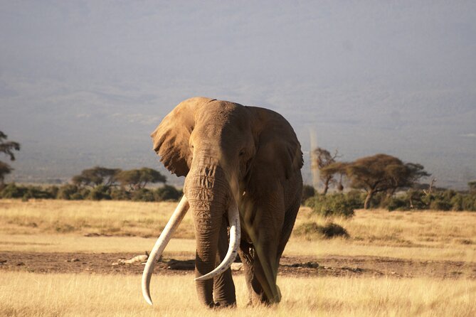 9- Days Classic Kenya Family Safari - A Boat Ride on Lake Naivasha