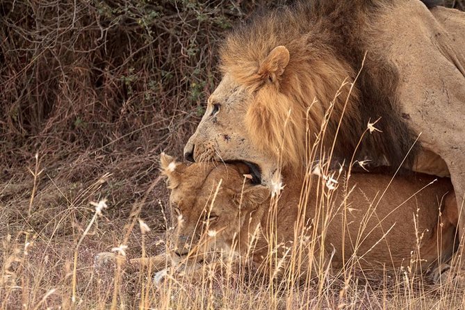 9- Days Classic Kenya Family Safari - Red Elephants in Tsavo East