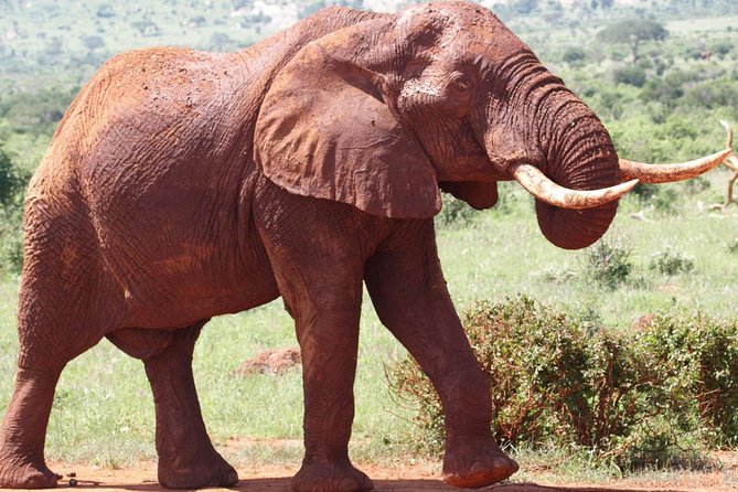 9-Days Discover Kenya Private Safari - Key points at a glance