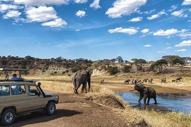 9-Days Discover Kenya Private Safari - Why this private Kenya route works