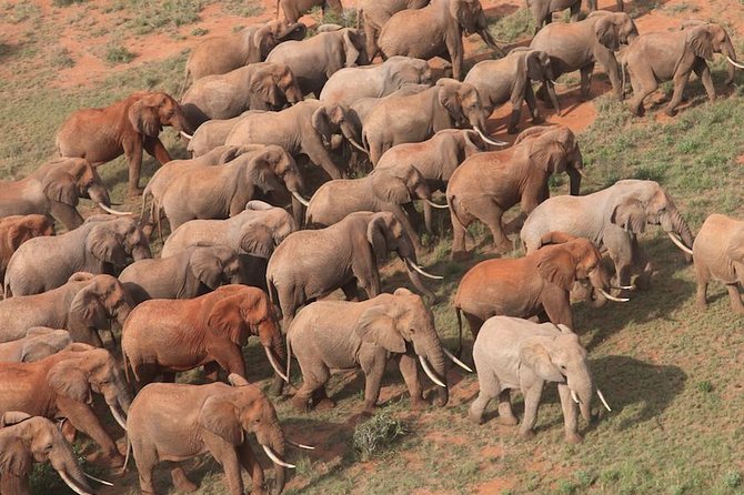 9-Days Discover Kenya Private Safari - Day 3: from the Mara to Lake Nakuru