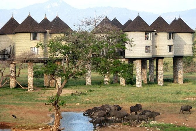9 Days Kenya Classic Lodge Safari - Day 9: final game drive and your choice of finish