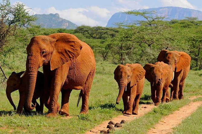 9 Days Kenya Classic Lodge Safari - Days 1 and 2: entering the Masai Mara