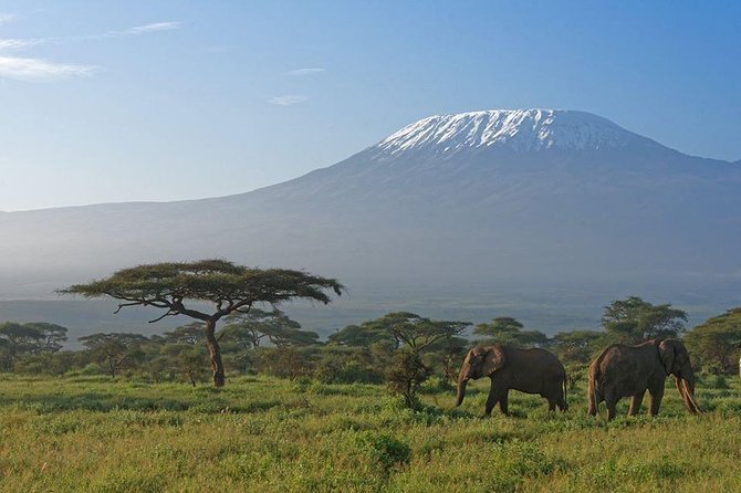 9 Days Samburu- Nakuru- Mara-Naivasha- Amboseli Wild Safari - Day 3: Thompson Falls and rhinos at Lake Nakuru