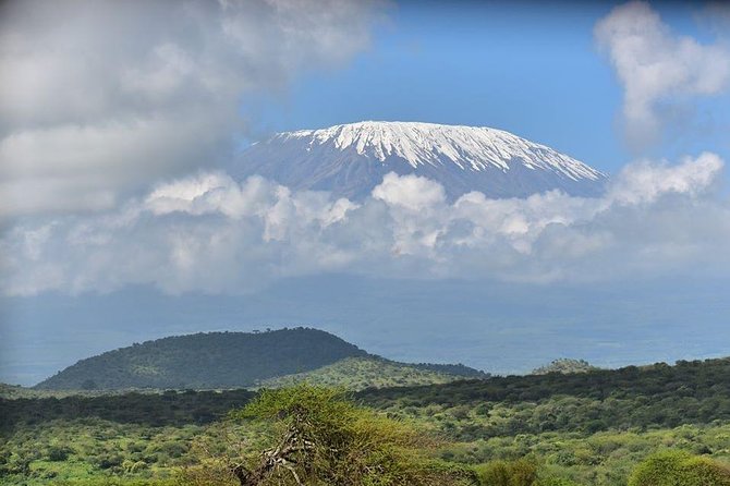 9 Days Samburu- Nakuru- Mara-Naivasha- Amboseli Wild Safari - Day 5: A full day in the Maasai Mara