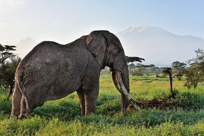 9 Days Samburu- Nakuru- Mara-Naivasha- Amboseli Wild Safari - Day 7: Walking and cycling at Hell’s Gate
