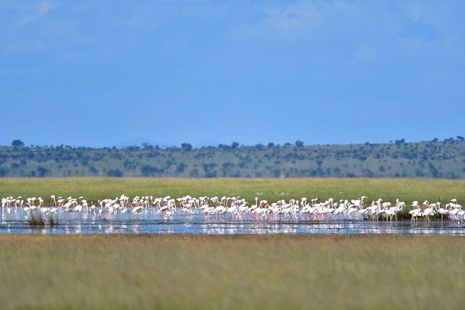9 Days Samburu- Nakuru- Mara-Naivasha- Amboseli Wild Safari - Day 1: Nairobi to Samburu through the Equator