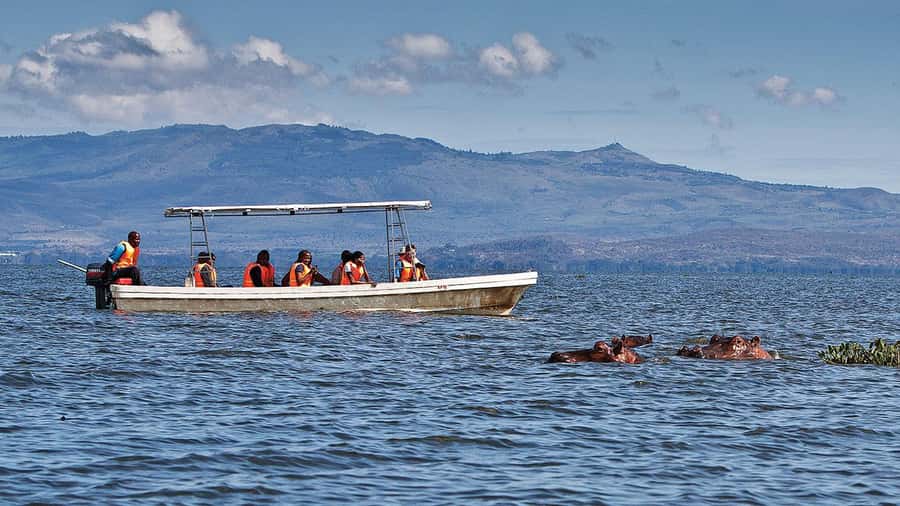 A day tour; Lake Nakuru national park& L. Naivasha Boat ride - Leaving Nairobi before sunrise