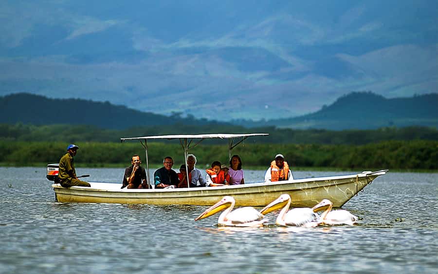 A day tour; Lake Nakuru national park& L. Naivasha Boat ride - Three hours inside Lake Nakuru National Park