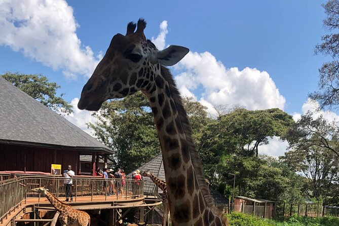 A Day Tour to Giraffe Center in Nairobi Kenya - The optional souvenir and coffee stop