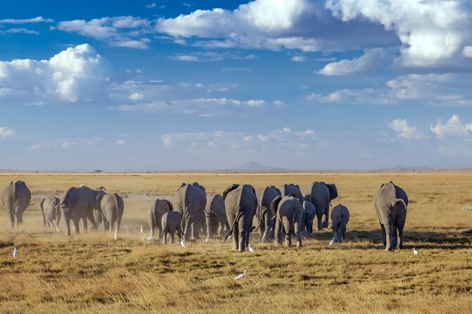 A thrilling Kenya 4 Days Adventure: Masai Mara &Lake Nakuru - Day 3: Maasai culture and the road to Lake Nakuru