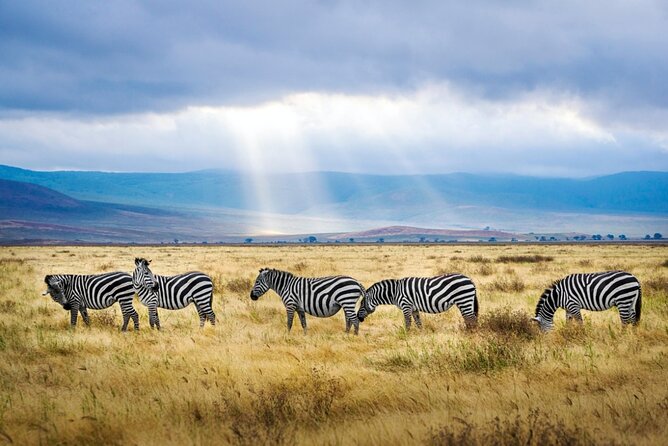 A thrilling Kenya 4 Days Adventure: Masai Mara &Lake Nakuru - Day 4: Flamingos, rhinos, and the return to Nairobi