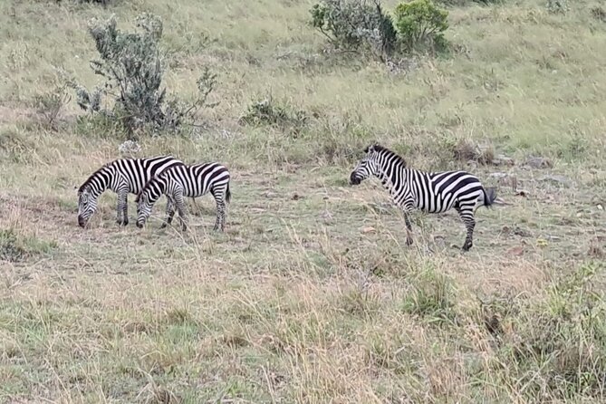 A thrilling Kenya 4 Days Adventure: Masai Mara &Lake Nakuru - What the $1,500 price really covers