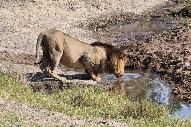 A thrilling Kenya 4 Days Adventure: Masai Mara &Lake Nakuru - Guides, timing, and the small-group advantage