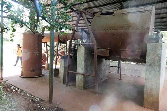 A visit to Karen Blixen Museum - Is $114.87 good value?