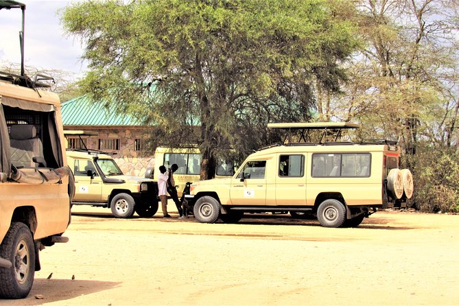 Adventure-fueled 3 Days Maasai Mara Safari - What the $1,176.48 price really covers