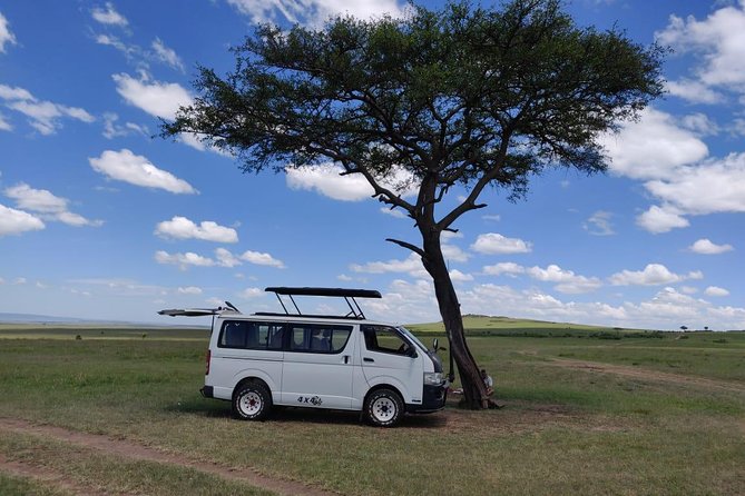 Afternoon half day mini safari to Nairobi National Park - Booking, cancellation, and timing advice