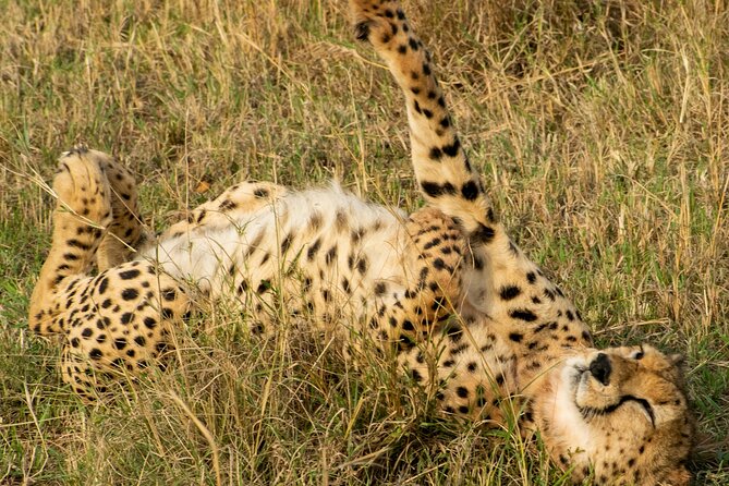 Afternoon Tour To Nairobi National Park - Cancellation and planning advice