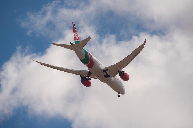 Airport Pick Up To Nairobi National Park / Drop Off - Airport Pickup And The Direct Ride To The Gate