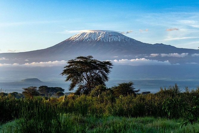 Amboseli Cultural & Wildlife Tour - 4 Day Unforgettable Budget Safari - Day three: a shorter Kilimanjaro mountain outing