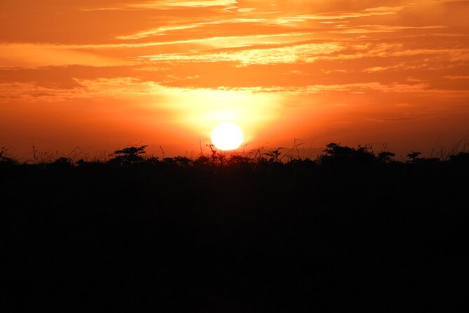 Amboseli Day Tour from Nairobi - What the $190 price really covers