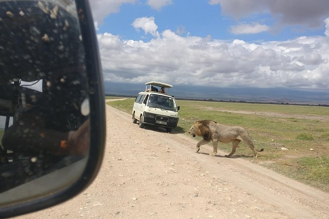 Amboseli Day Trip!! - Key points to know before booking