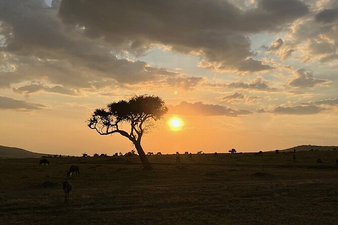 Amboseli day trip with pick up - Why Amboseli works as a day trip from Nairobi