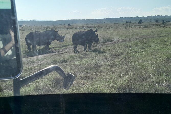 Amboseli day trip with pick up - Elephants, red dust, and open views
