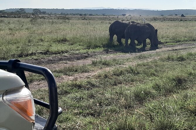 Amboseli day trip with pick up - Lunch at Oltukai Lodge