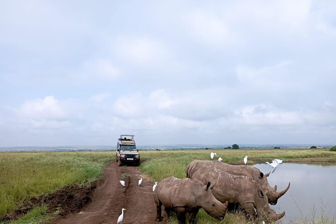 Amboseli day trip with pick up - Maasai culture after the wildlife