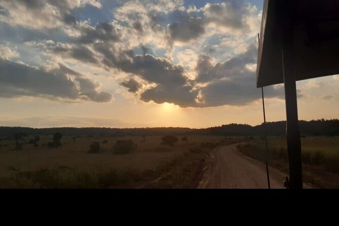 Amboseli Day Trip with Pickup - Who should book this day safari?