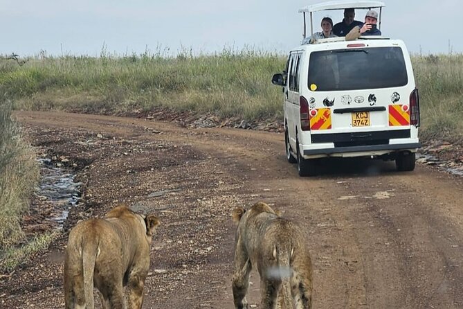 Amboseli Day Trip with Pickup - The 5:00 a.m. pickup and sunrise road