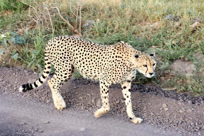 Amboseli & Nairobi National Park 3 Day Safari - Why this safari works in only three days
