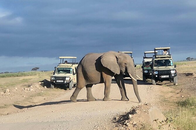 Amboseli & Nairobi National Park 3 Day Safari - The optional Maasai village visit