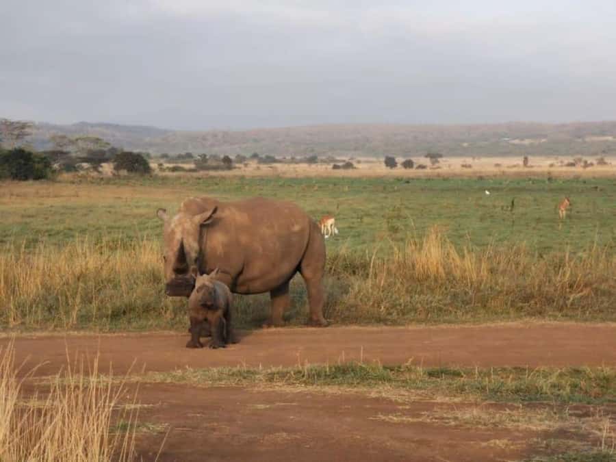 Amboseli National Park 3-Day Safari from Nairobi - What the $480 price really covers